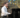 Marwan Dafir en concert aux Pianissimes le samedi 7 mai 2022