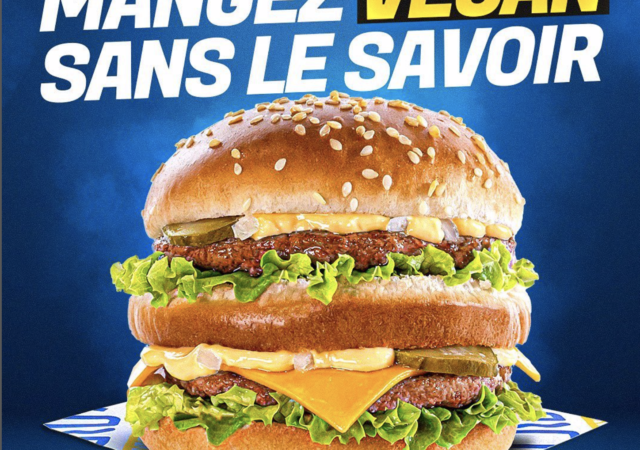 Végédal arrive à Lyon le 18 mai