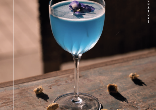 Marie Brizard - Liqueurious Cocktails Academy les 8 et 9 juillet à Lyon