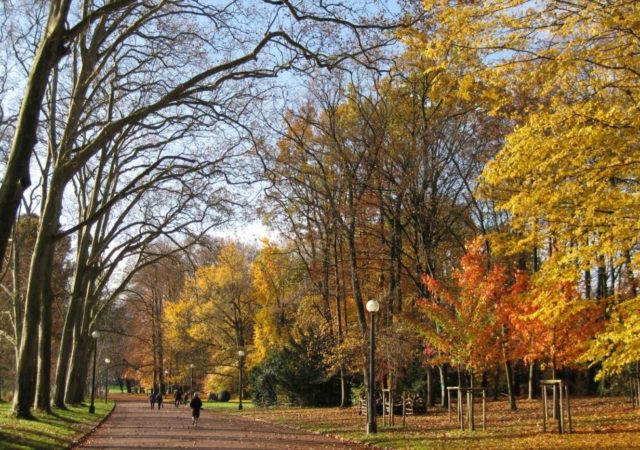 Que faire à Lyon cette semaine ? (du 6 au 10 juin 2022)