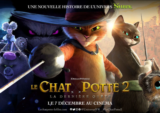Le Chat Potté 2 : la dernière quête - Critique du film