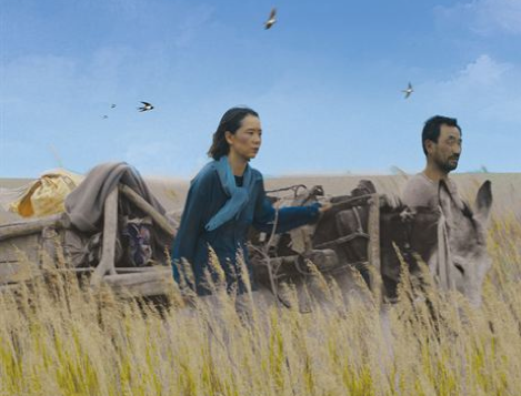 Le retour des hirondelles de Li Ruijun - Critique du film