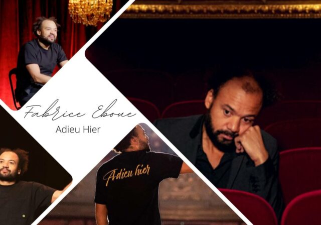 Fabrice Eboué, Adieu Hier - Critique
