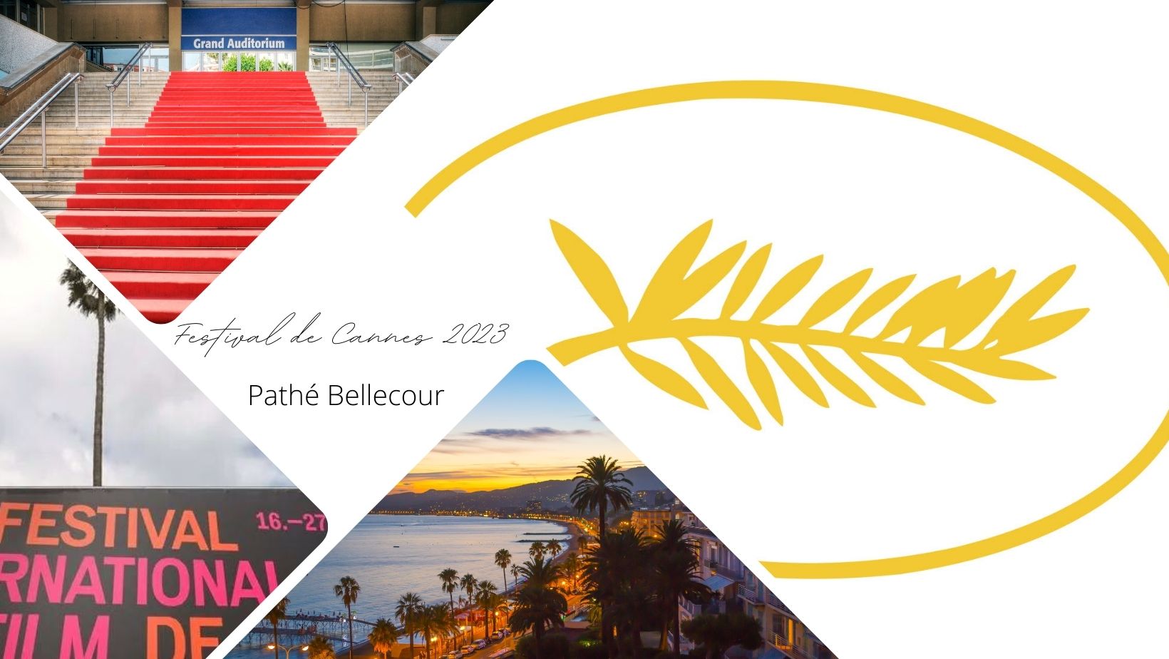Le Festival de Cannes 2023 s'invite au Pathé Bellecour