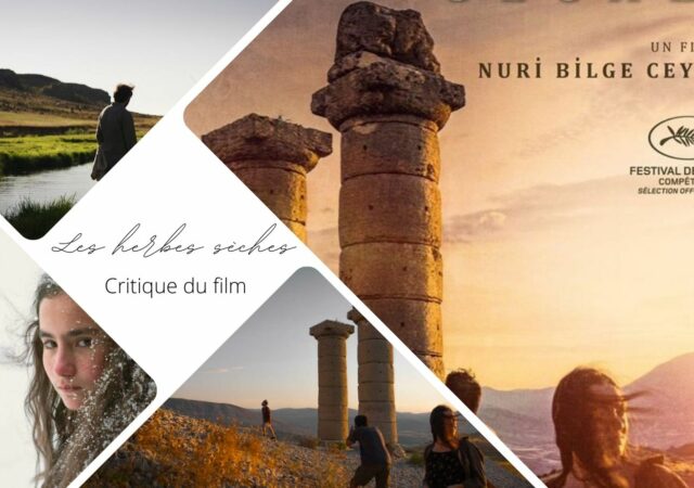 Les herbes sèches de Nuri Bilge Ceylan - Critique du film