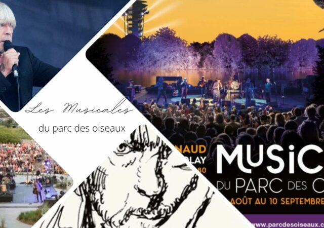 Renaud aux Musicales du Parc des Oiseaux vers Lyon