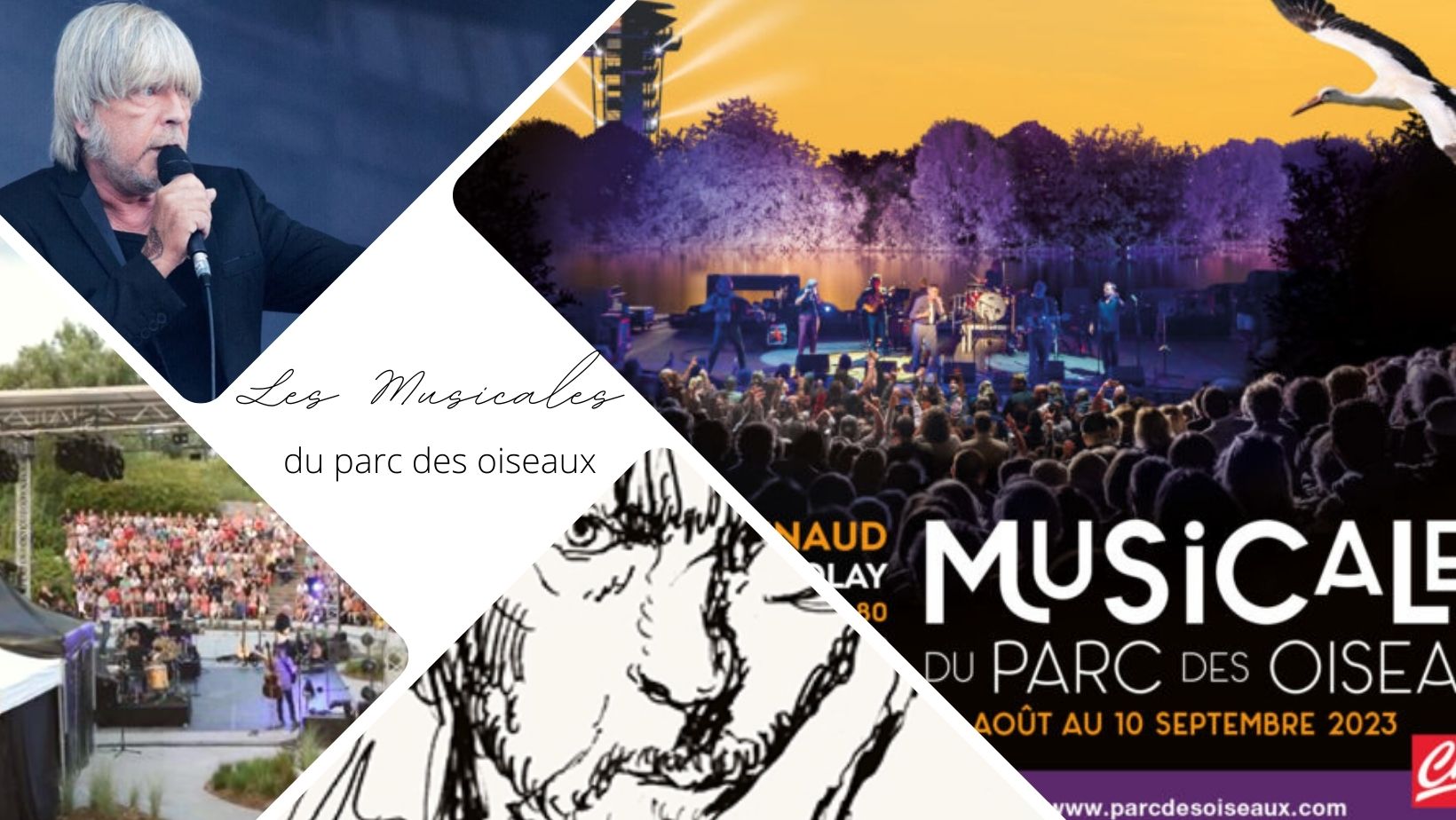 Renaud aux Musicales du Parc des Oiseaux vers Lyon
