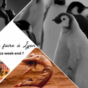 Que faire à Lyon ce week-end ? (29, 30 septembre et 1er octobre 2023)