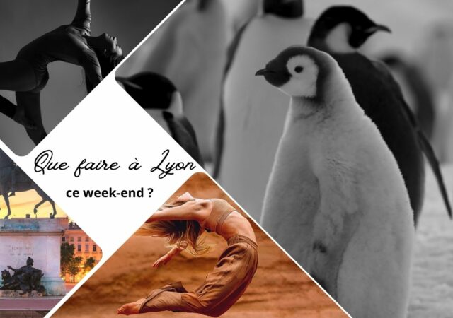 Que faire à Lyon ce week-end ? (29, 30 septembre et 1er octobre 2023)