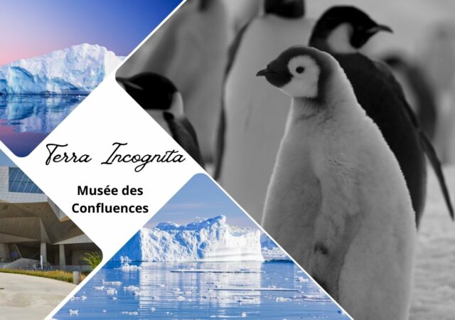 L'exposition polaire Terra Incognita au Musée des Confluences, par Luc Jacquet