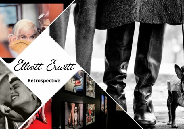 Elliott Erwitt, une rétrospective