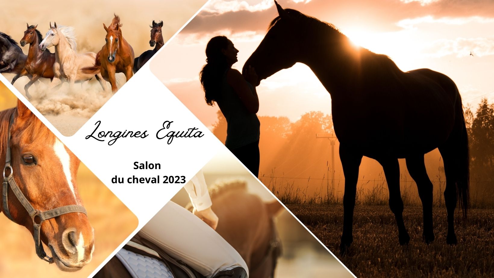 Longines Equita Lyon - Salon du cheval 2023