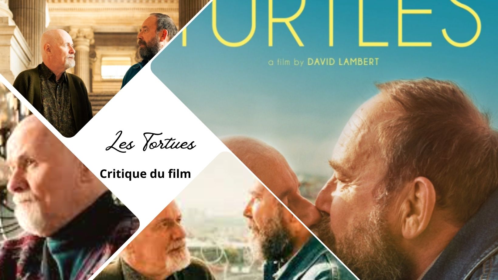 Les tortues avec Olivier Gourmet - Critique du film