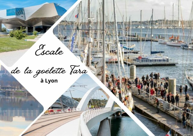 Escale de la goélette Tara à Lyon au Musée des Confluences