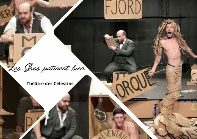 Les gros patinent bien - Les Célestins, Théâtre de Lyon - Critique