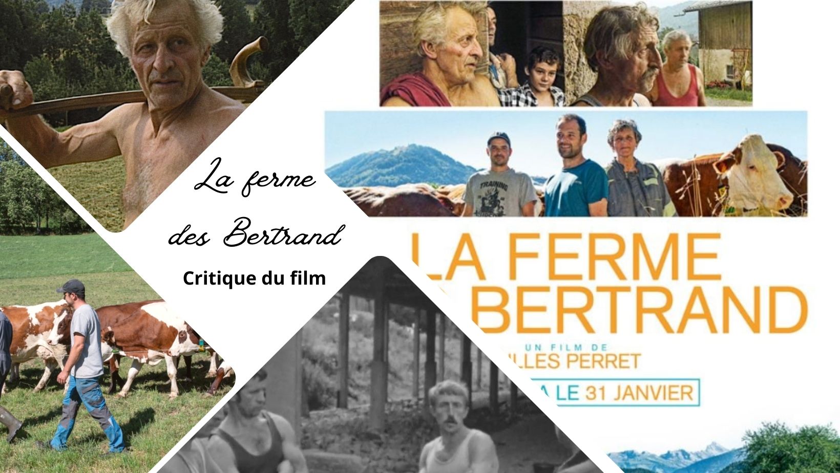 La Ferme des Bertrand - Critique du film