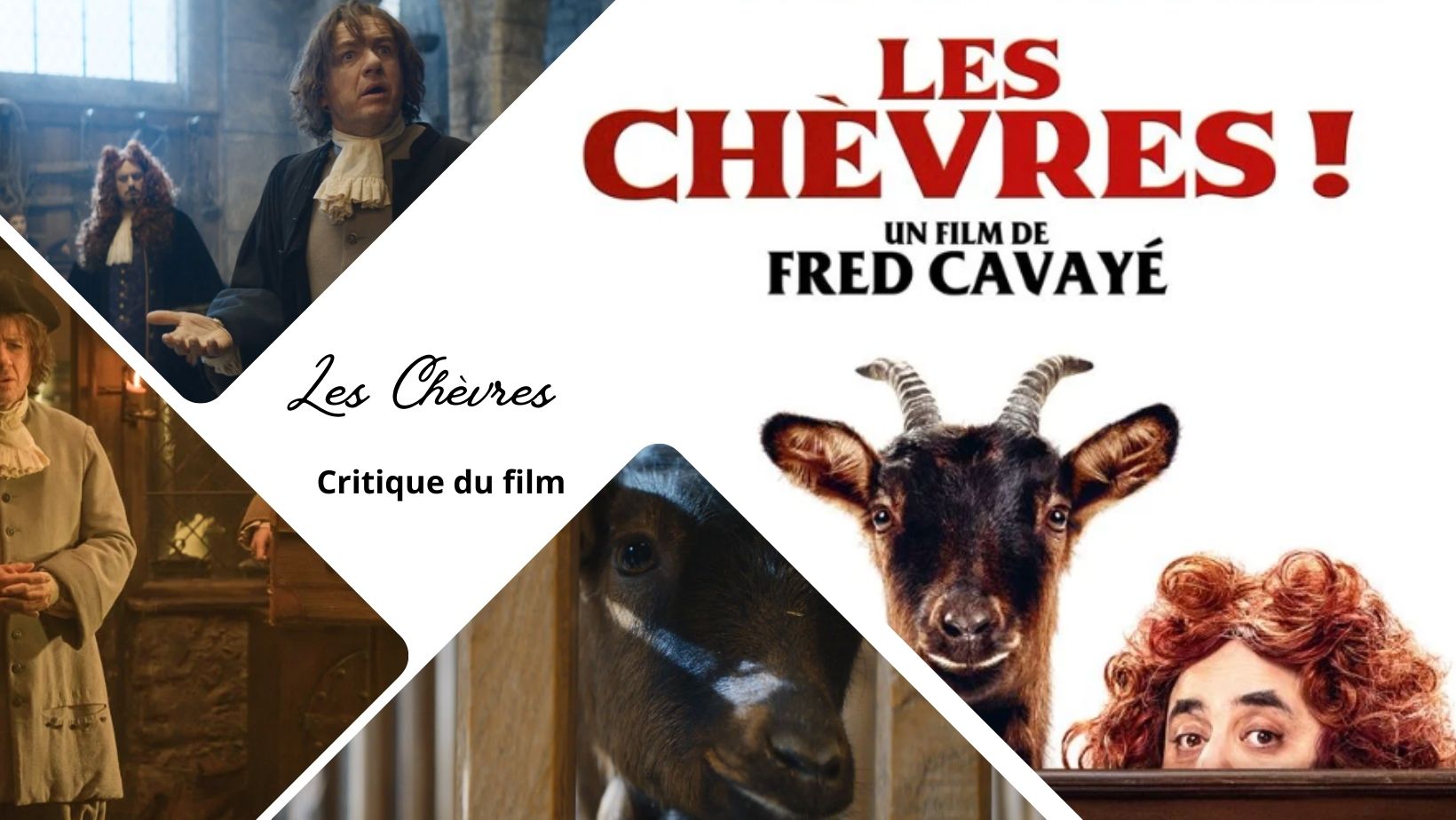 Les Chèvres de Fred Cavayé avec Dany Boon - Critique du film