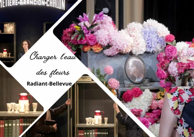 Changer l'eau des fleurs au Radiant-Bellevue