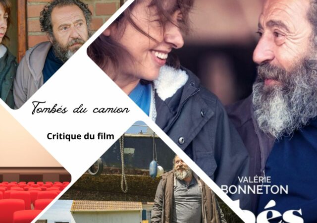 Tombés du camion avec Patrick Timsit et Valérie Bonneton - Critique du film