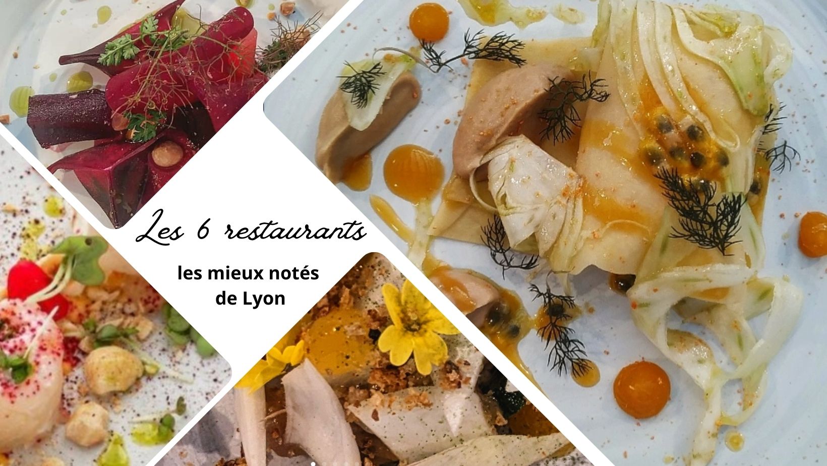 Les 6 restaurants les mieux notés de Lyon
