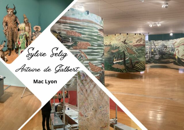 On a vu : l'exposition Sylvie Selig et la collection Antoine de Galbert au Musée d'art contemporain de Lyon