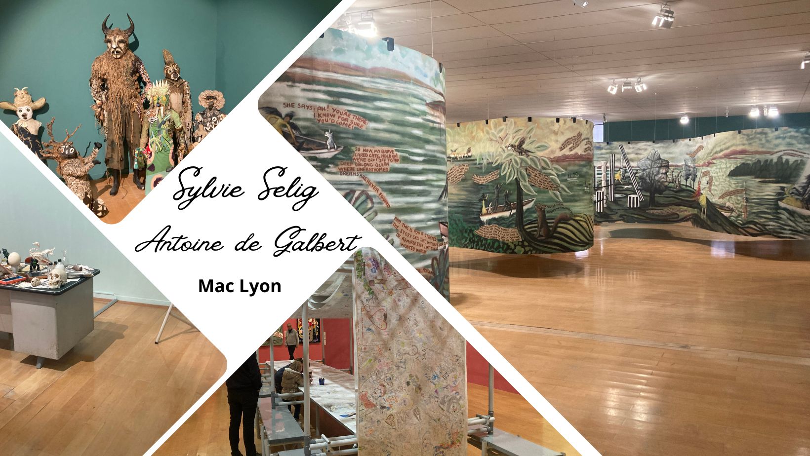 On a vu : l'exposition Sylvie Selig et la collection Antoine de Galbert au Musée d'art contemporain de Lyon