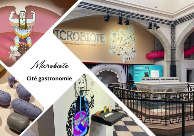 On a visité: l'exposition “Microbiote” à la Cité de la Gastronomie de Lyon