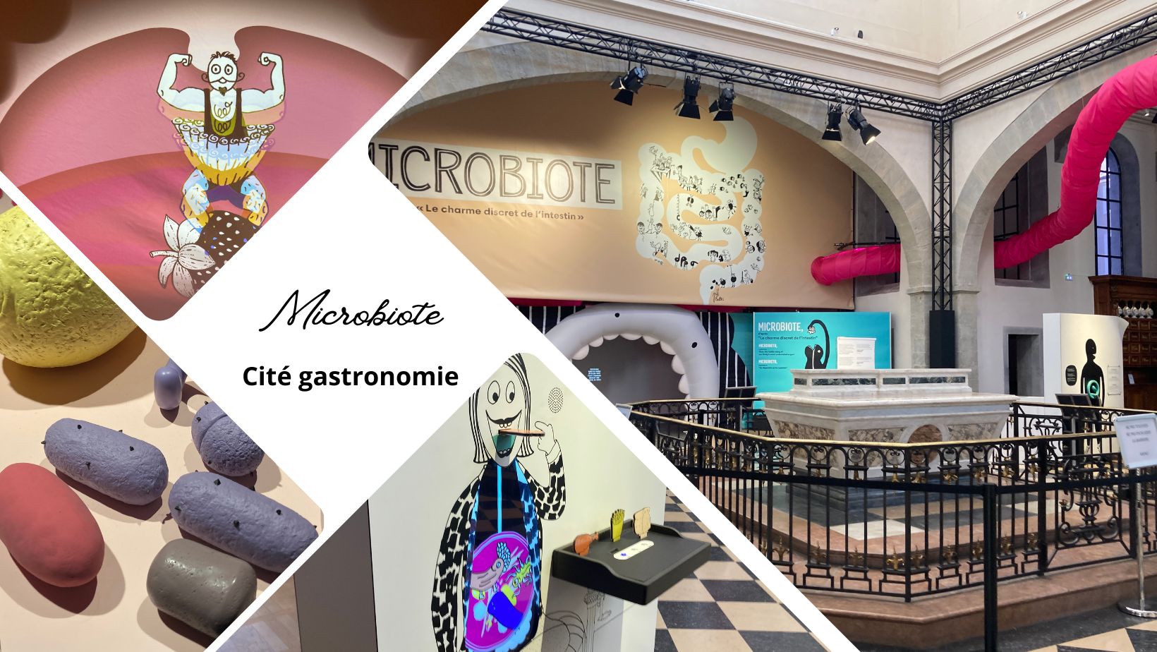 On a visité: l'exposition “Microbiote” à la Cité de la Gastronomie de Lyon