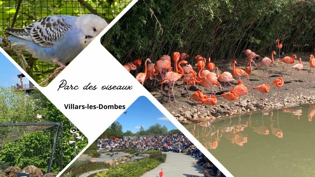 Le Parc des Oiseaux Ă Villars-les-Dombes