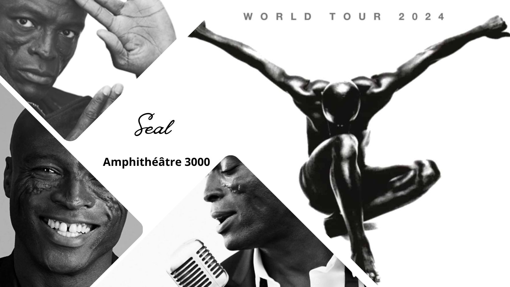 Seal célèbrera ses 30 ans de carrière à Lyon à l'amphithéâtre 3000