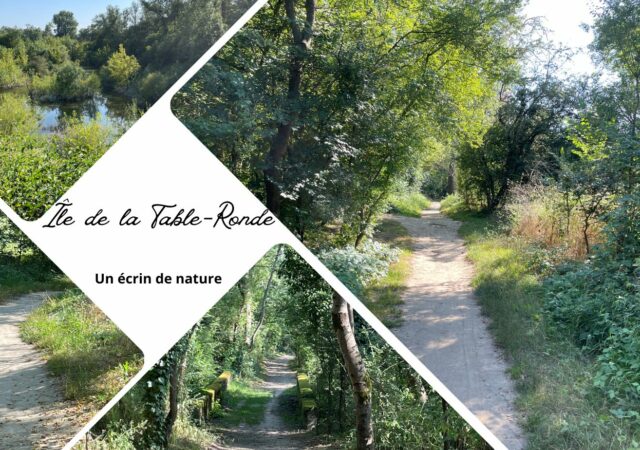 On a testé : l'Île de la Table-Ronde, le charme discret de la nature à 15 minutes de Lyon