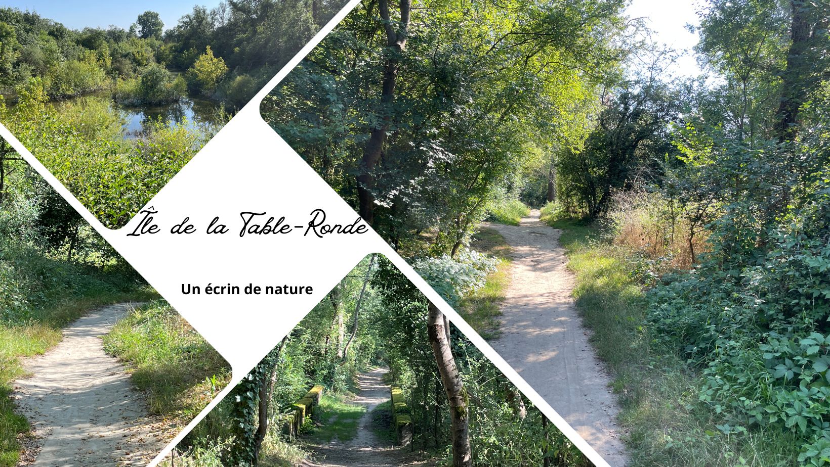 On a testé : l'Île de la Table-Ronde, le charme discret de la nature à 15 minutes de Lyon