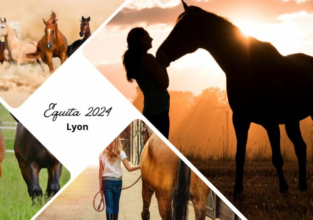 Equita Lyon 2024 : 30 ans de passion équestre à Eurexpo