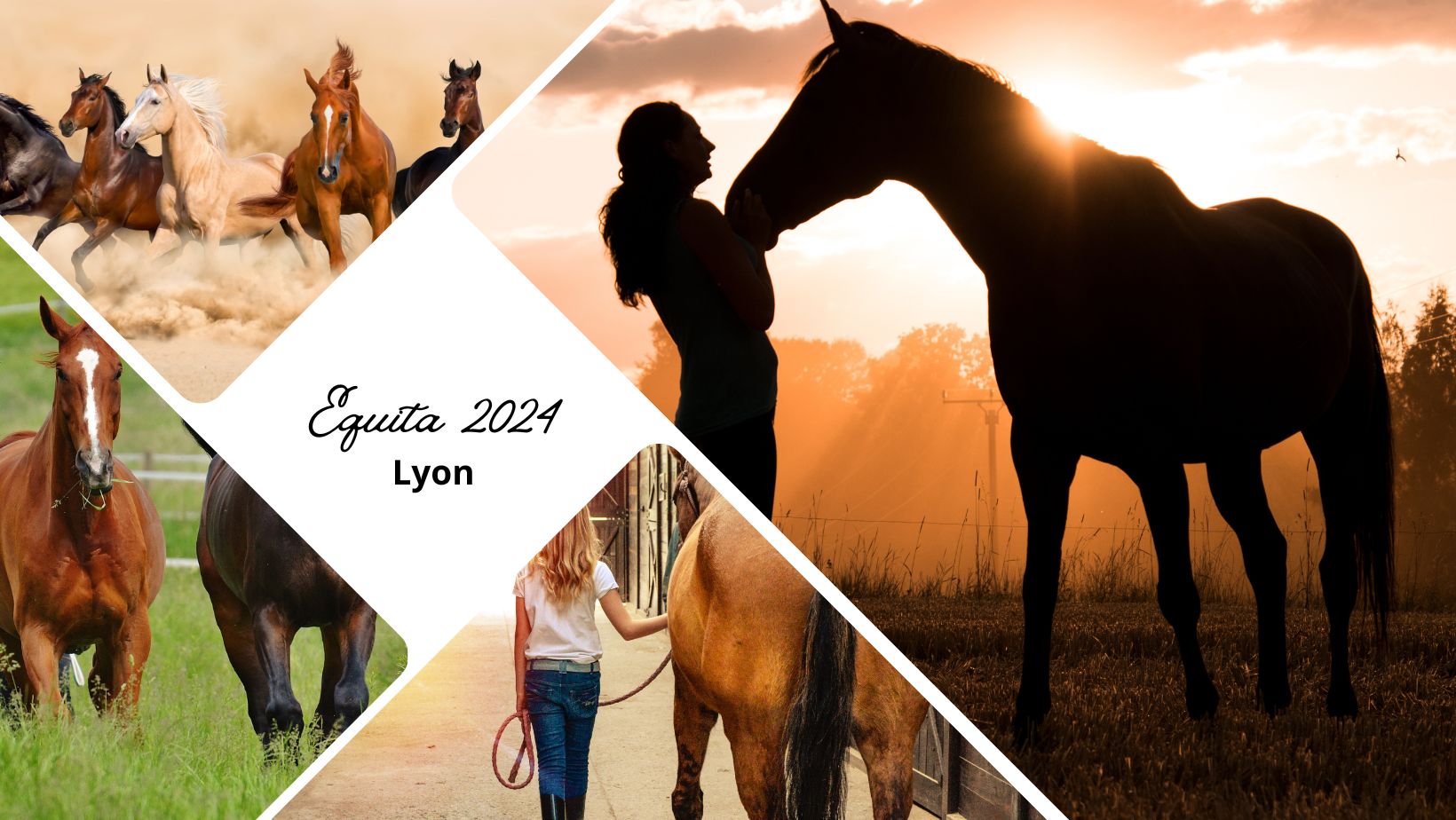 Equita Lyon 2024 : 30 ans de passion équestre à Eurexpo