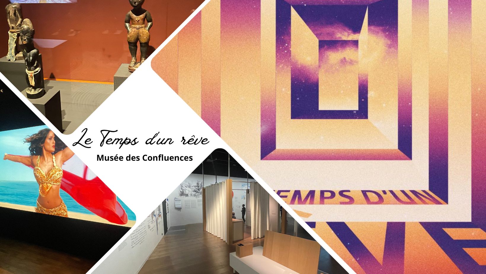 Le Temps d'un rêve - exposition au Musée des Confluences à Lyon