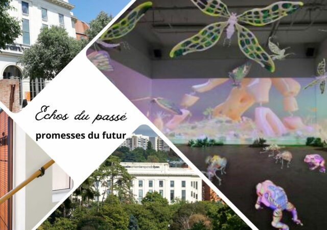 Échos du passé, promesses du futur au Musée d'art contemporain de Lyon : un dialogue entre l’art et les enjeux contemporains