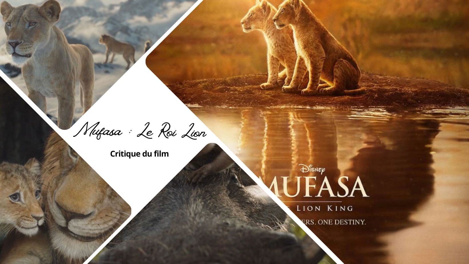 Mufasa : Le Roi Lion - Critique du film