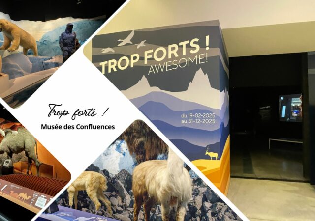 Exposition Trop forts ! au Musée des Confluences : entrée de l'exposition