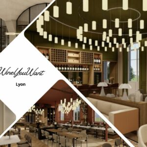 WineYouWant, un lieu unique à Lyon alliant gastronomie, œnologie et art de vivre