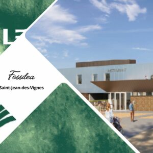 Fossilea à Saint-Jean-des-Vignes, l’Odyssée géologique du Beaujolais
