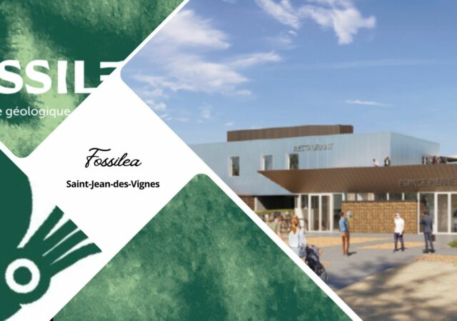 Fossilea à Saint-Jean-des-Vignes, l’Odyssée géologique du Beaujolais