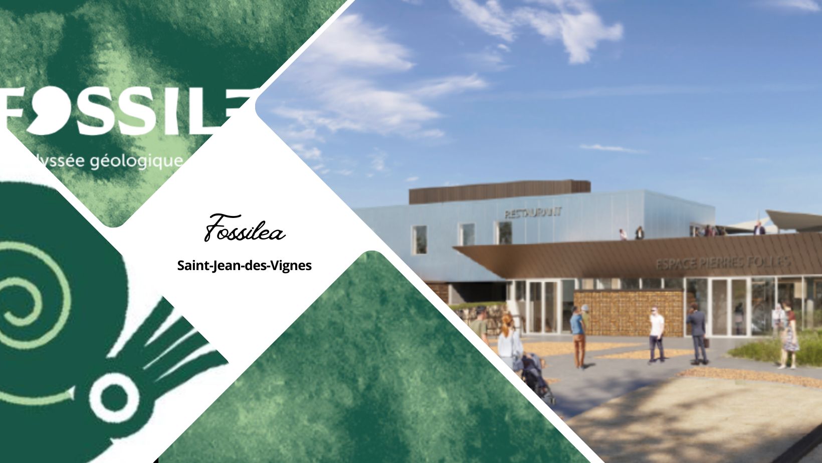 Fossilea à Saint-Jean-des-Vignes, l’Odyssée géologique du Beaujolais