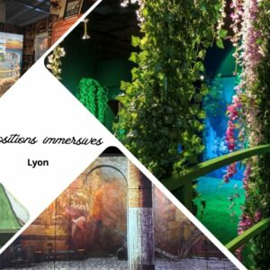 Expositions immersives à Lyon : la catastrophe