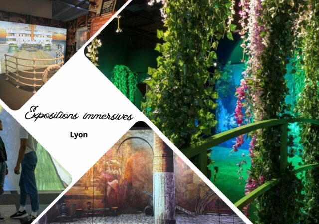 Expositions immersives à Lyon : la catastrophe