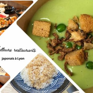 Les meilleurs restaurants japonais à Lyon : notre sélection des adresses incontournables (2026)