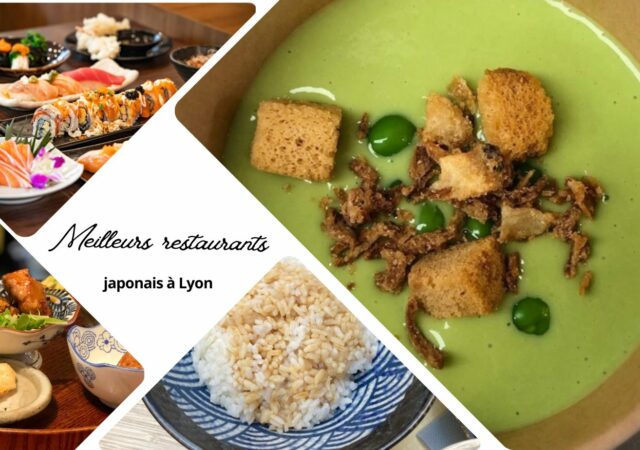 Les meilleurs restaurants japonais à Lyon : notre sélection des adresses incontournables (2026)