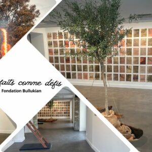 On a visité : l'exposition Des faits comme défis à la fondation Bullukian