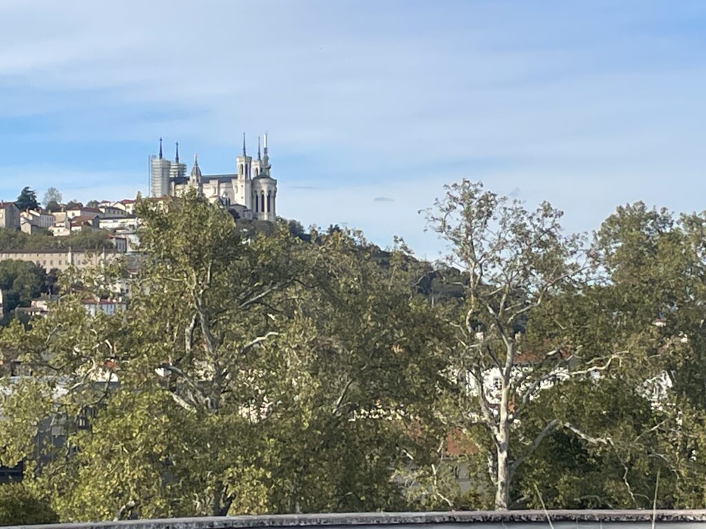 Festival Airt de famille 2026 à Lyon : vue sur Fourvière